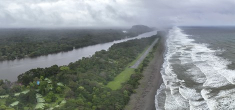 Aerial view, beach and sea, coast with rainforest, Tortuguero National Park, Costa Rica, Central