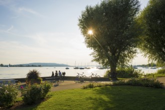 Cyclist, lakeside promenade, Friedrichshafen, Lake Constance, Baden-Württemberg, Germany, Europe