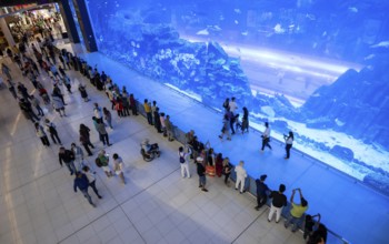 Interior view, Dubai Aquarium and Underwater Zoo, Dubai Luxury Shopping Mall, luxury shopping