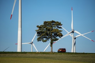 Wind farm near Lichtenau, wind turbines, country road, Driburger Straße, North Rhine-Westphalia,