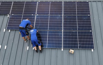 Installation of solar modules on the roof of a barn on a farm, over 240 photovoltaic modules are