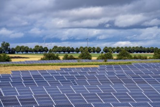 Solar park near Morschheim, part of the municipality of Kirchheimbolanden, Rhineland-Palatinate,