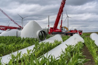 Repowering, dismantled Enercon E-58 wind turbine in a wind farm near Issum, 9 older wind turbines