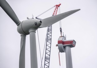 Erection of a wind turbine, wind energy plant, assembly of the ring generator, with a crawler