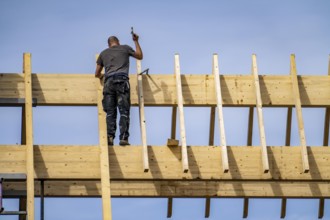 Carpenter, on a roof truss, new construction of a wooden pointed roof, renovation