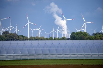 Agriculture, large areas with foil tunnels, for growing strawberries, south of Lövenich, belongs to