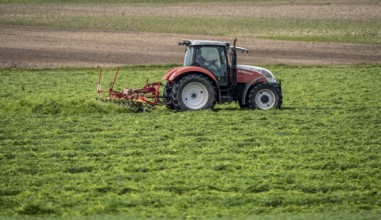 Tractor, mowing grass, turning the grass, near Issum, Lower Rhine, North Rhine-Westphalia, Germany,