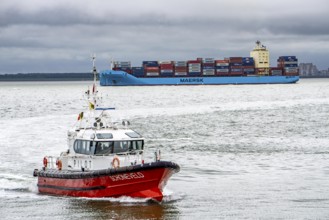 The Belgian pilot boat Schonefeld enters the Pilot Boat harbour of Vlissingen, has dropped off a