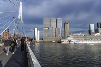 Rotterdam, skyline at the Nieuwe Maas, Erasmus Bridge, skyscrapers at the Kop van Zuid district,