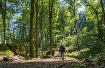 Forest path to the Devil's Gorge, near Irrel, Southern Eifel nature park Park,