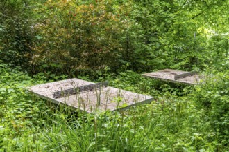 Lost Places, old table tennis table on an abandoned, closed playground, overgrown and surrounded by