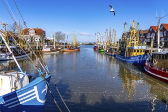 Cutter harbour Neuharlingersiel, Lower Saxony, Germany, Europe