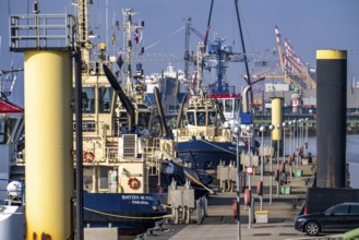 Harbour tugs, tugboats, bowser, at the pier at Columbuskaje, harbour cranes, historic Pingelturm,