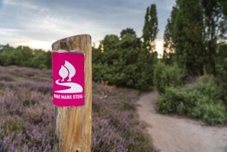 The Westruper Heide, in the Hohe Mark Westmünsterland nature park Park, near Haltern am See,