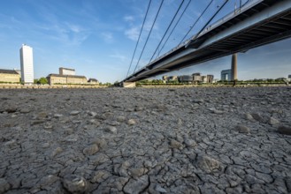 Rhine near Düsseldorf, extremely low water, Rhine level at 81 cm, falling, after a long drought the