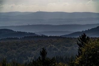 View from Kahlen Asten mountain, to the east, forest landscape in Hochsauerlandkreis, Hochheide,