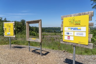 Reforestation in the Arnsberg forest above the Möhnesee, Soest district, citizens' forest project,