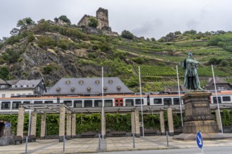 Upper Middle Rhine Valley, railway line on the right bank of the Rhine, regional train, goods train