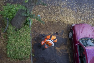 Street cleaning, an employee of the municipal city cleaning service, cleans pavements and parking