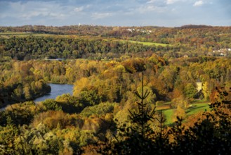 Autumnal forest along the Ruhr valley between Essen-Kettwig and Essen-Werden, seen from Öfter Wald,