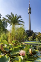 Westfalenpark, with 70 hectares, one of the largest inner-city parks in Europe, water plant basin,