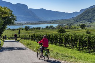 Cycle path through the wine-growing areas in South Tyrol, near Kaltern on the wine route, shortly