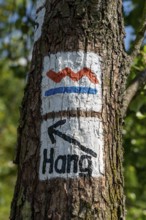 Hiking sign, signpost, logo, of the Zollvereinsteig, hiking trail in the north of Essen, Halde