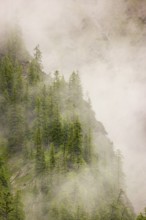 Wisps of mist cover the Karwendel mountains in the Großer Ahornboden nature reserve, Eng Valley,