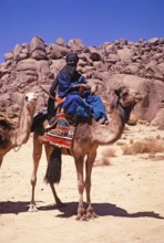 Taureg man riding camel leading camel train, Tassili N'Ajjer National Park, Sahara desert, Algeria,