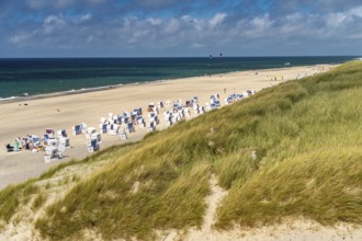 Beach chairs on the beach at Kampen, Sylt Island, North Friesland District, Schleswig-Holstein,