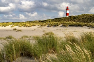 Dunes at the coast of Ellenbogen and the lighthouse List-Ost, List, island Sylt, district