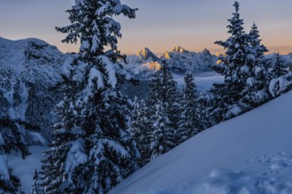 Sunrise snow tour on the Tegelberg in the Allgäu in Bavaria. Winter Wonder Land, Germany, Europe