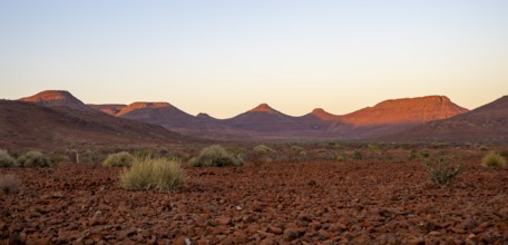 Red glowing table mountains at sunrise, barren dry desert landscape near Palmwag, Damaraland,