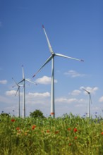 Lichtenau, North Rhine-Westphalia, Germany, wind farm in agricultural landscape, flower strips in