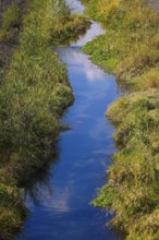 Bottrop, North Rhine-Westphalia, Germany, Renaturalised Boye, the tributary of the Emscher, was