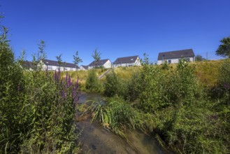 Recklinghausen, North Rhine-Westphalia, Germany, renaturalised Hellbach, renaturalised watercourse,