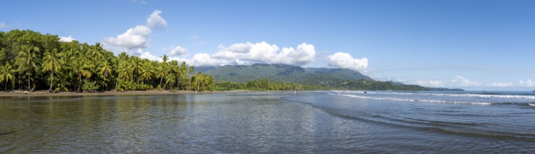 Sandy beach beach with palm trees by the sea, Playa Uvita, Pacific coast, Parque Nacional Marino