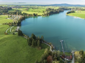 Aerial view of lake Forggensee, near Dietringen, Ammergauer Alpen, Allgaeu, Bavaria, Germany,