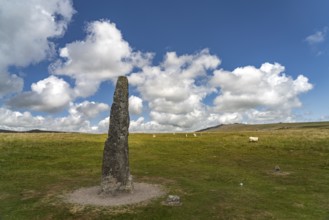 Menhir from the megalithic complex of Merrivale, Dartmoor, Devon, England, Great Britain