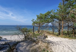 Dune landscape on the Polish Baltic coast in the Slowinski National Park, part of the UNESCO