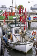 Fishing boats in the town harbour of Sassnitz, island of Rügen, Mecklenburg-Vorpommern, Germany,