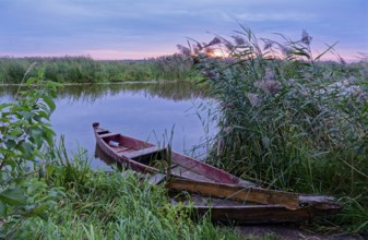 Fishing boat on a branch of the Narew in the Narew National Park in north-east Poland. Waniewo,