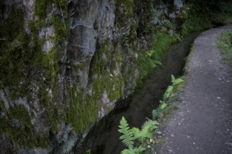 Hiking trail, Maiser Waalweg, stream, long exposure, Schenna, Scena, South Tyrol, Autonomous