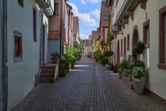 Idyllic narrow alley with cobblestones and traditional houses decorated with flowers under a bright