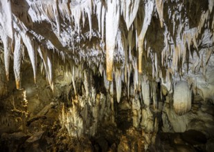 Stalactite cave, Terciopelo Cave, Barra Honda National Park, Costa Rica, Central America