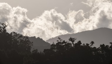 Clouds over cloud forest, mountain rainforest, Parque Nacional Los Quetzales, Costa Rica, Central