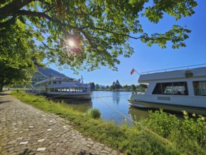 Two ships lying quietly on the banks of the Main, with trees, meadow and paved path, under a bright