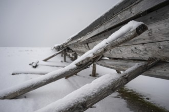 Supply lines, routed above ground on stilts due to permafrost, Kongsfjorden, Ny-Ålesund research