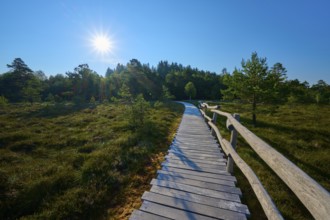 A wooden plank path leads through an idyllic moor landscape under a bright blue sky with sunshine,