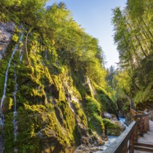 A sun-drenched plank path next to a moss-covered rock with a waterfall in the background,